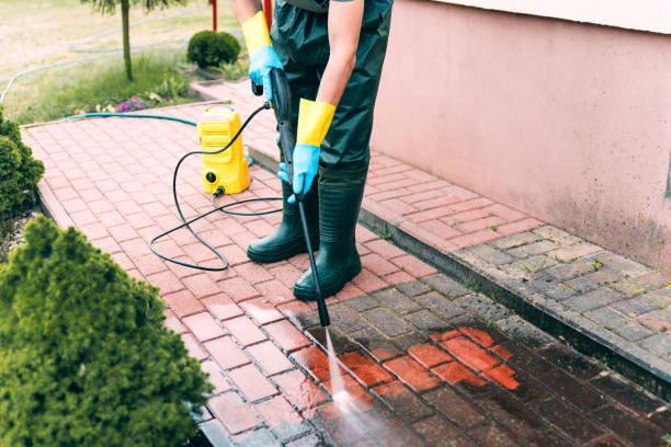 Best Solar Panel Cleaning  in West Hill, OH